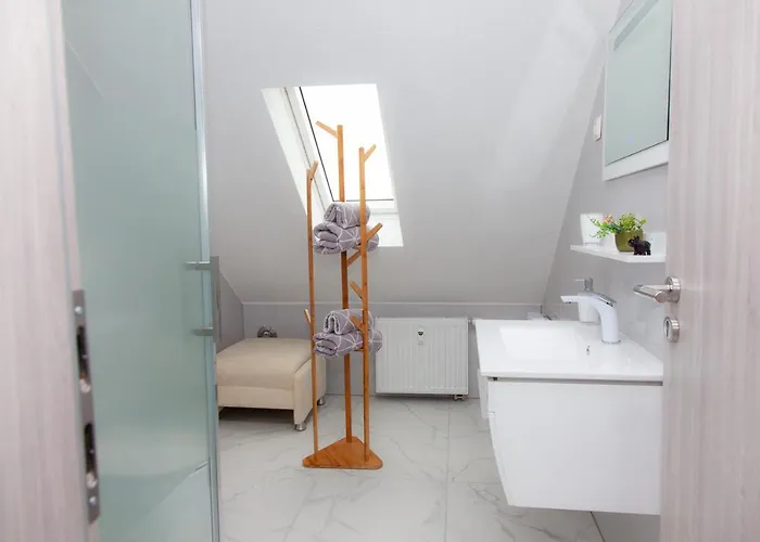 T&k Near Messe Fair Trade Duesseldorf Und Airport 3b Appartement